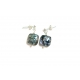 Stunning Square Paua Shell Drop Earrings